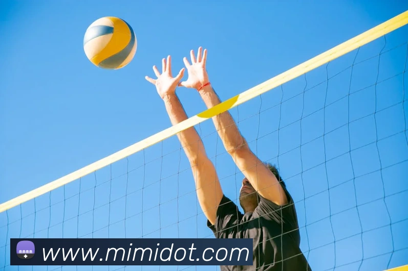 互动解说服务